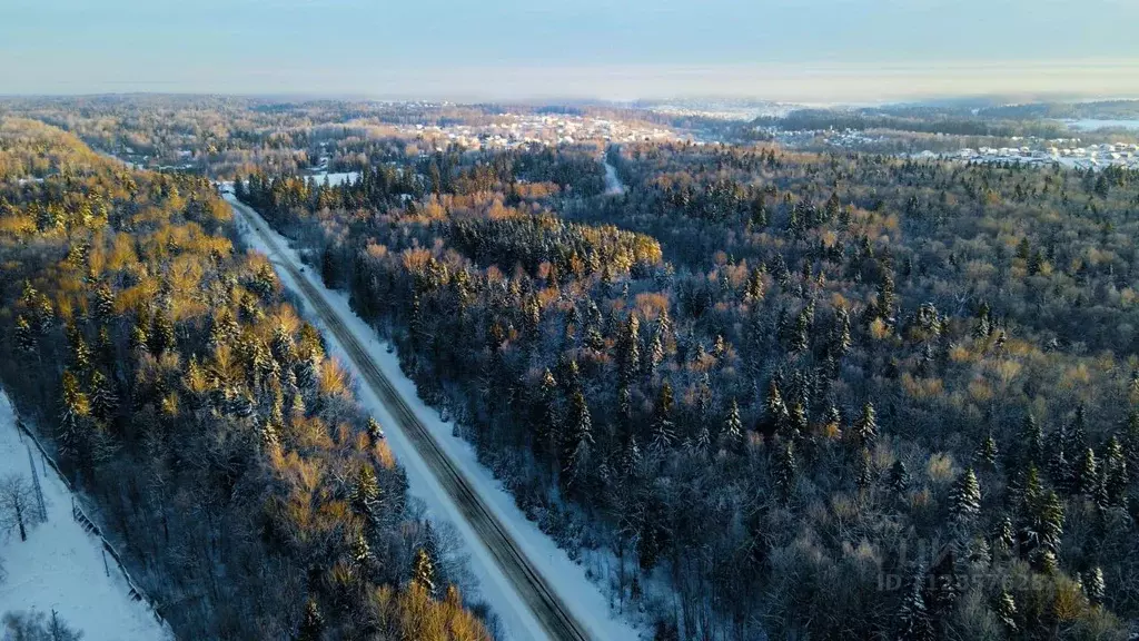 Участок в Московская область, Дмитровский городской округ, д. Сазонки ... - Фото 1