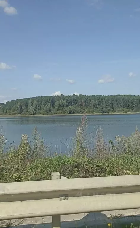 Участок в Нижегородская область, Вача рп ул. Сосновая (11.0 сот.) - Фото 0