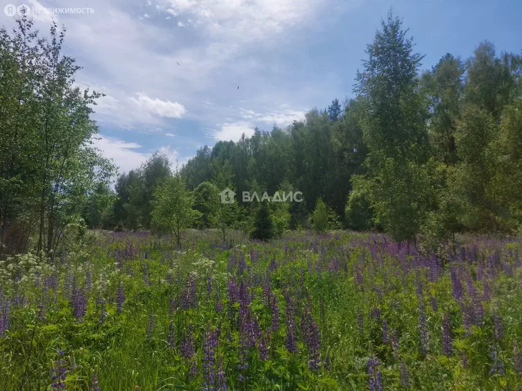 Участок в городской округ Владимир, деревня Аббакумово (425.6 м) - Фото 0