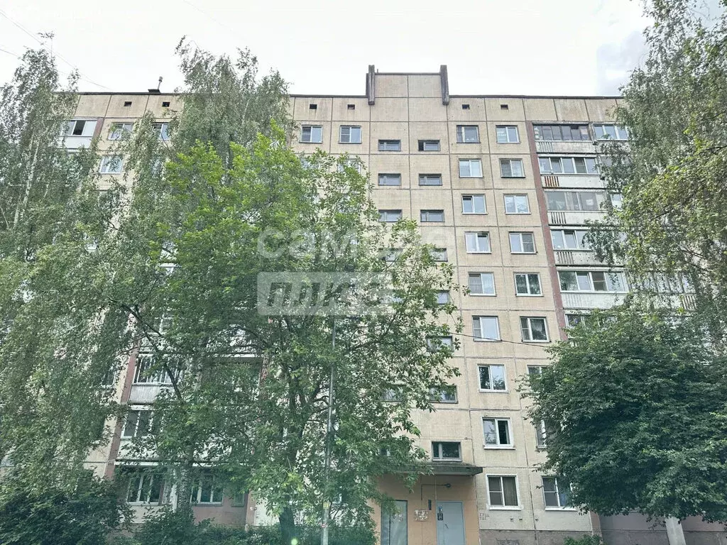 1-комнатная квартира: Колпино, Павловская улица, 38/17 (33.7 м) - Фото 0