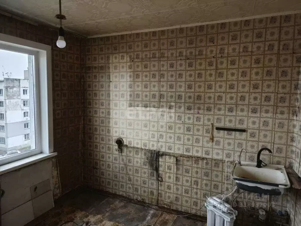 2-к кв. Алтайский край, Бийск Социалистическая ул., 27/1 (50.1 м) - Фото 1