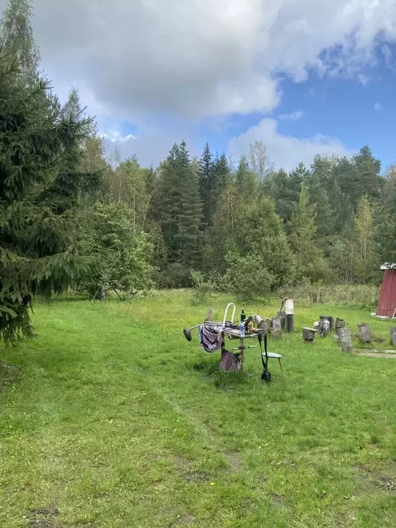 Участок в Ленинградская область, Лужский район, Мшинское с/пос, ... - Фото 1