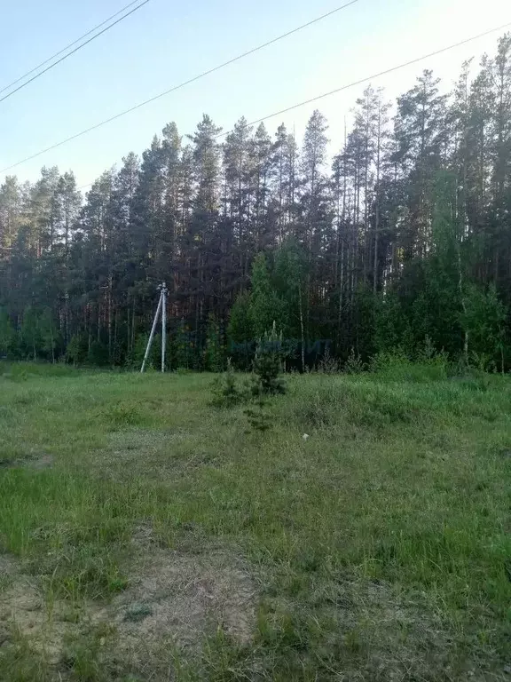 Участок в Нижегородская область, Лысковский район, с. Нижний Красный ... - Фото 2