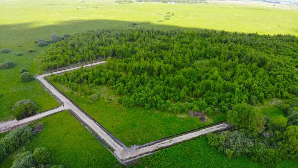 Участок в Тульская область, Заокский район, Демидовское с/пос, д. ... - Фото 1