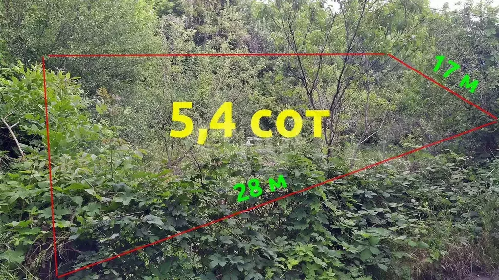 Участок 5,4 сот. (ИЖС) - Фото 1