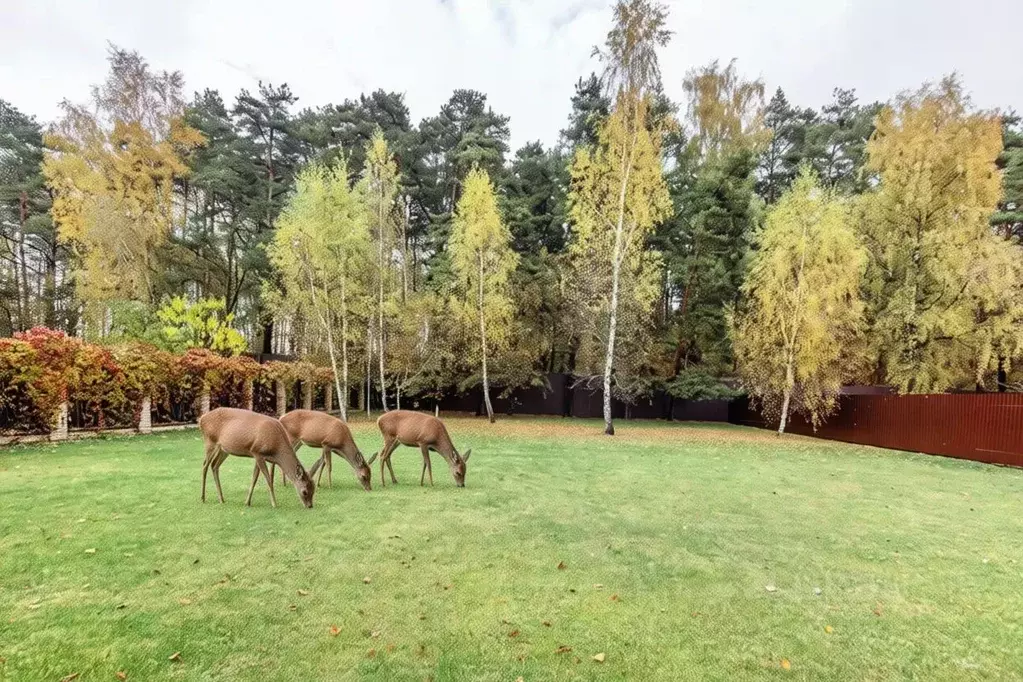 Коттедж в Московская область, Красногорск городской округ, д. Глухово ... - Фото 2