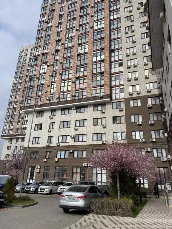 Студия Краснодарский край, Анапа ул. Толстого, 130к2 (24.5 м) - Фото 1