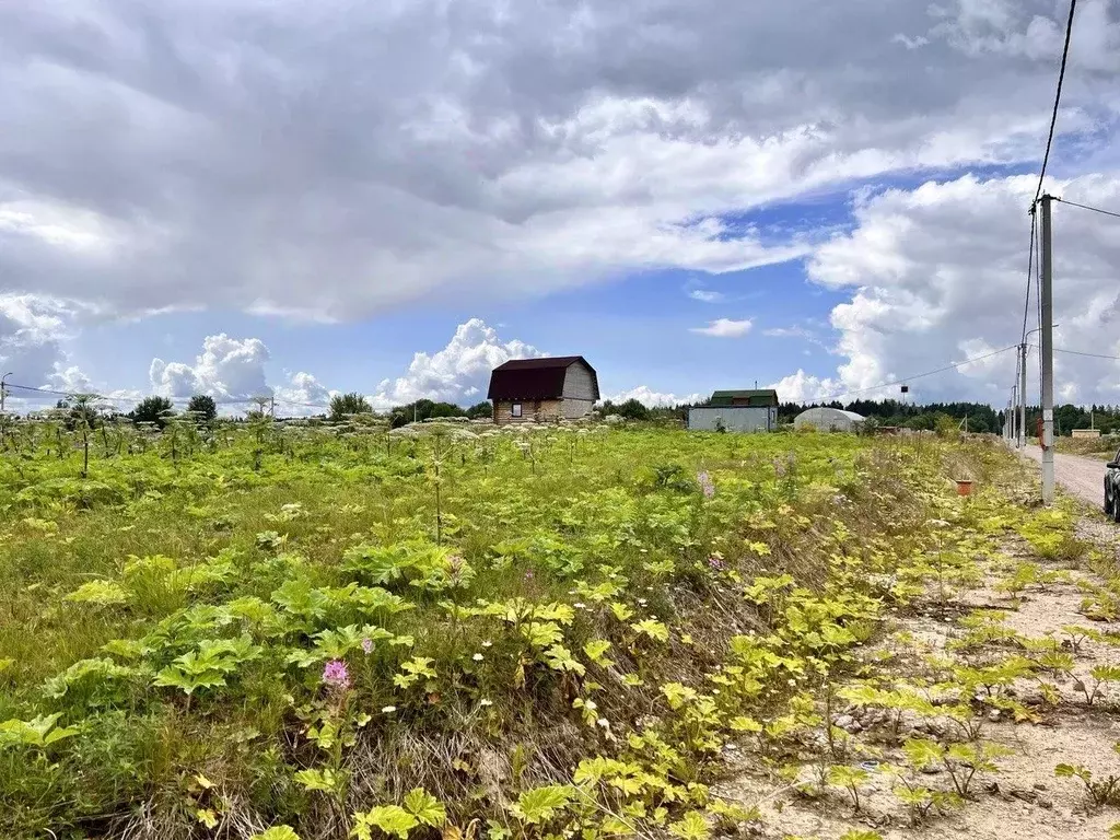 Участок в Ленинградская область, Ломоносовский район, Гостилицкое ... - Фото 1