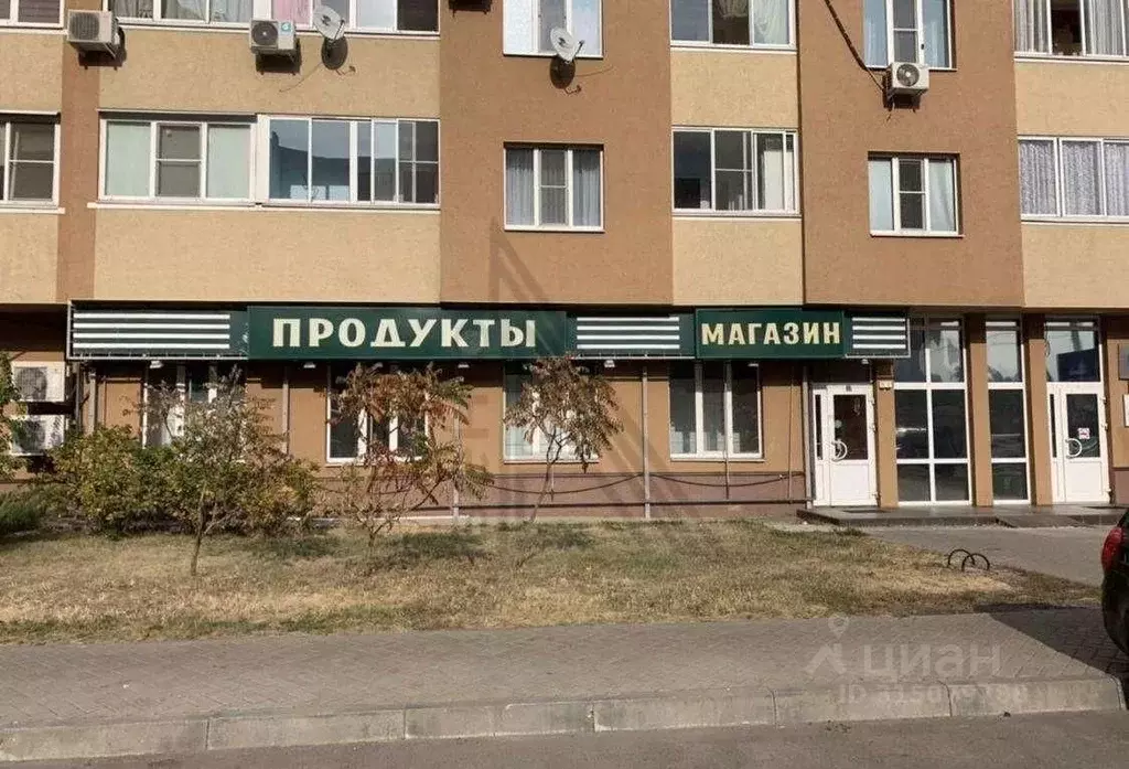 Торговая площадь в Воронежская область, Воронеж Ленинский просп., 126 ... - Фото 0
