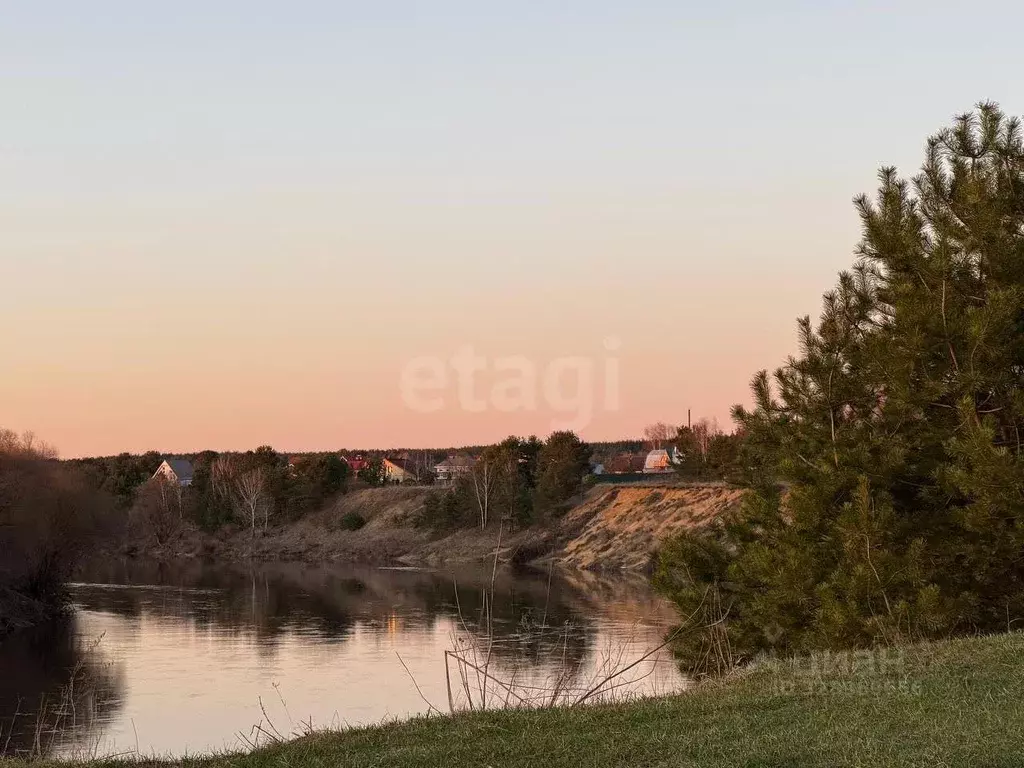 Участок в Калужская область, Дзержинский муниципальный округ, с. ... - Фото 2