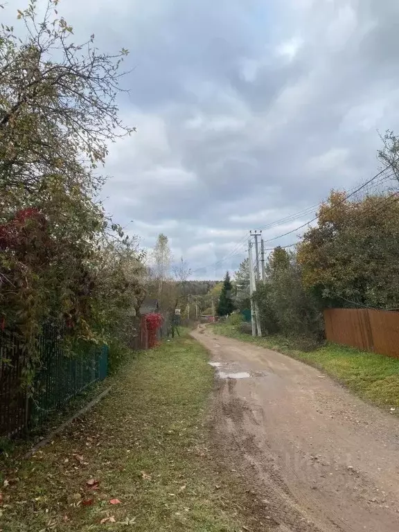 Участок в Калужская область, Боровский муниципальный округ, Кривское ... - Фото 2