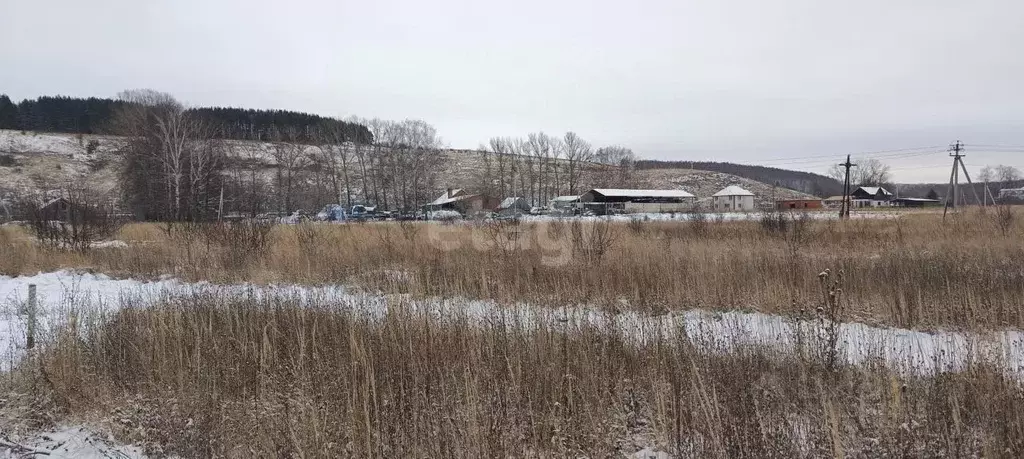 Участок в Нижегородская область, Кстовский муниципальный округ, д. ... - Фото 1