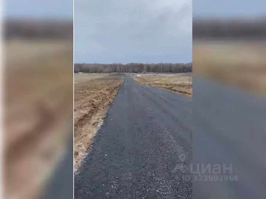 Участок в Московская область, Истра муниципальный округ, д. Загорье ... - Фото 2