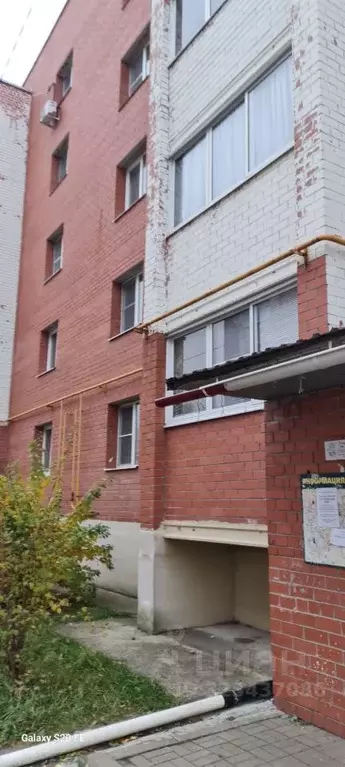 2-к кв. Ярославская область, Ярославский муниципальный округ, пос. ... - Фото 2