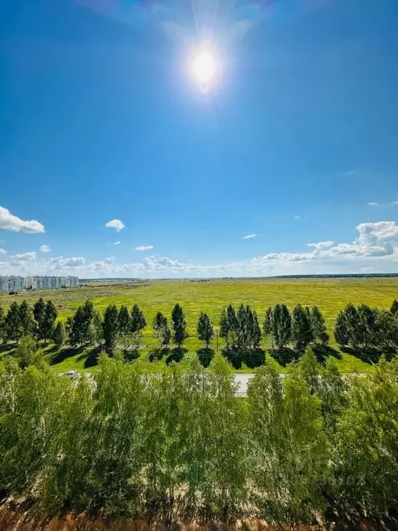 Участок в Татарстан, Нижнекамский район, Майскогорское с/пос, пос. ... - Фото 0