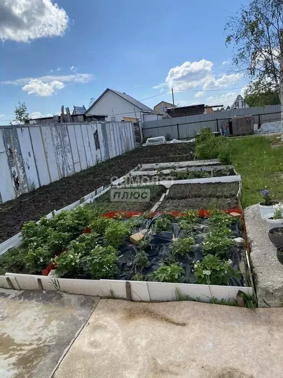 Участок в Ханты-Мансийский АО, Сургут Черемушки СТ, 26-я линия (5.3 ... - Фото 2