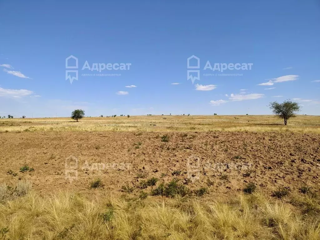 Участок в Волгоградская область, Волгоград Поселок Водный тер., ул. ... - Фото 2