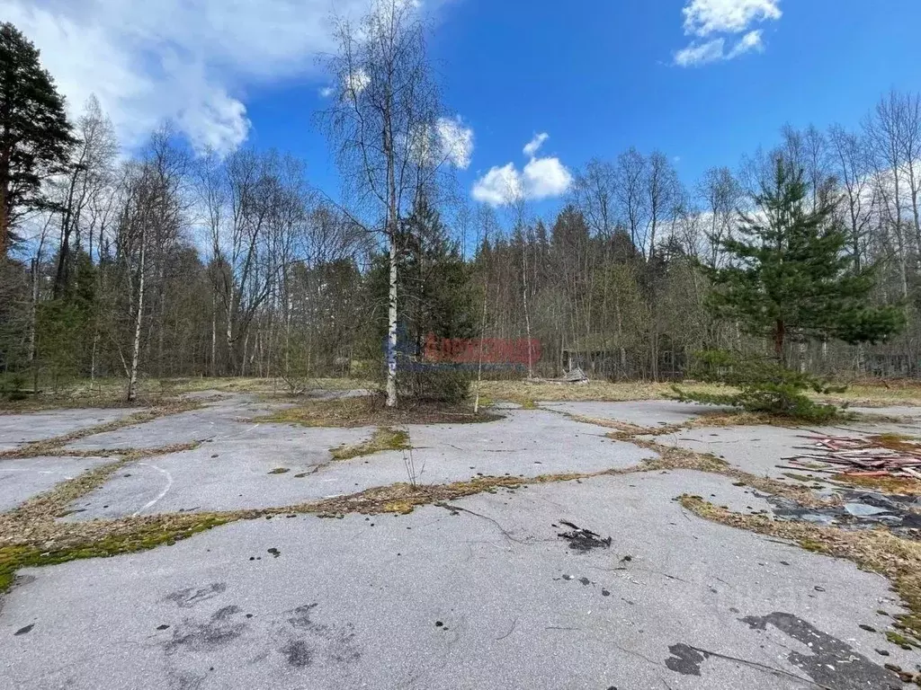 Участок в Ленинградская область, Приозерский район, Ларионовское ... - Фото 1