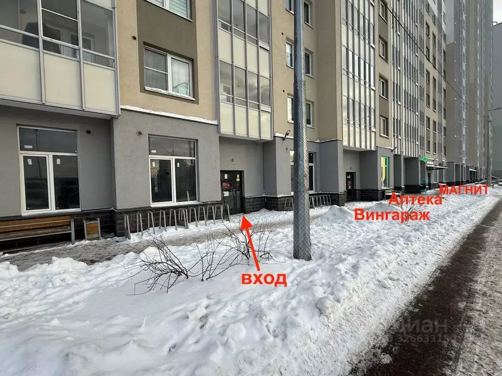 Помещение свободного назначения в Санкт-Петербург ул. Чарушинская, ... - Фото 1