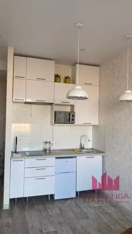 Студия Москва ул. Архитектора Щусева, 1 (24.0 м) - Фото 2