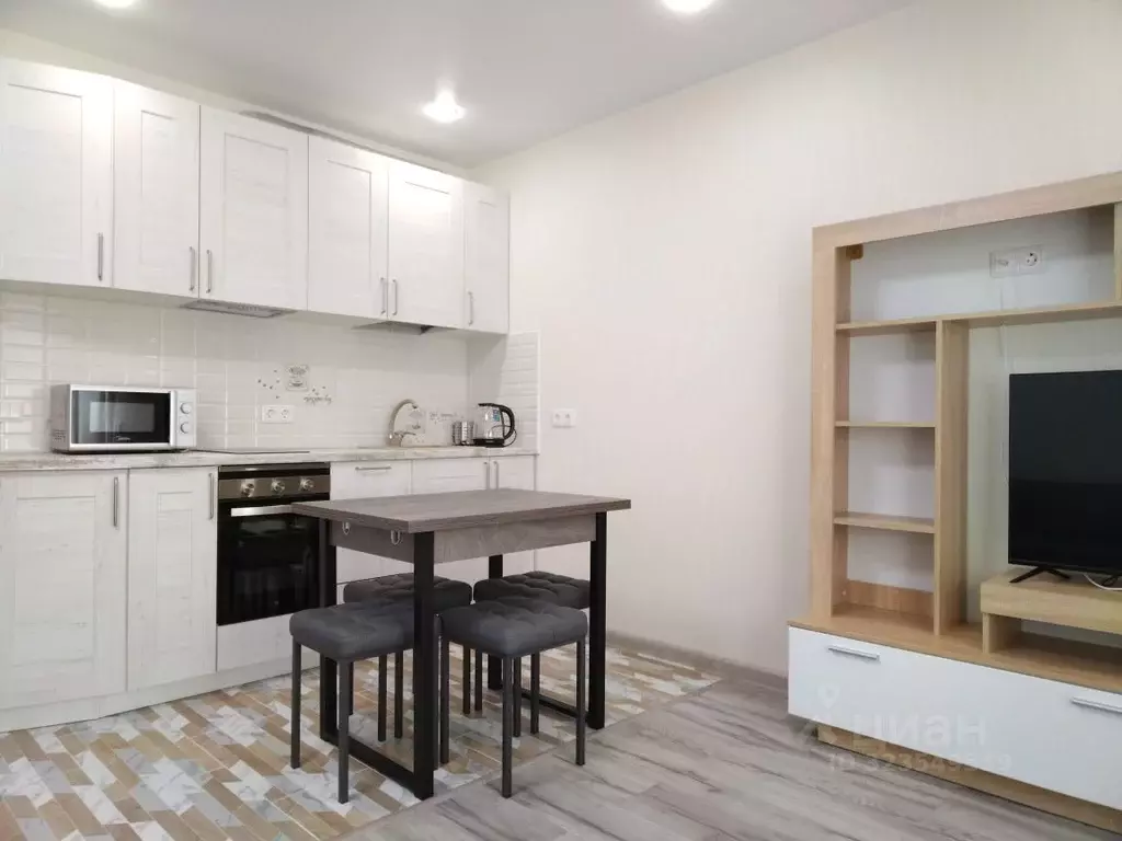 Студия Ленинградская область, Ломоносовский район, Виллозское ... - Фото 2