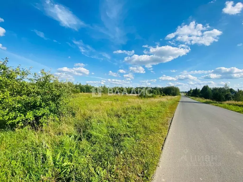 Участок в Владимирская область, Камешковский район, Пенкинское ... - Фото 1