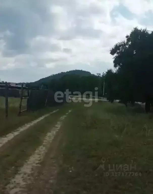 Участок в Амурская область, Благовещенский район, с. Новопетровка  ... - Фото 0