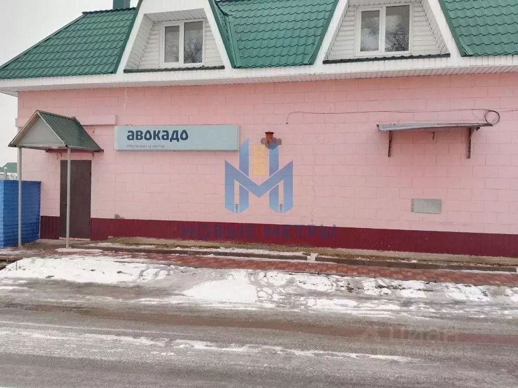 Помещение свободного назначения в Нижегородская область, Володарский ... - Фото 1