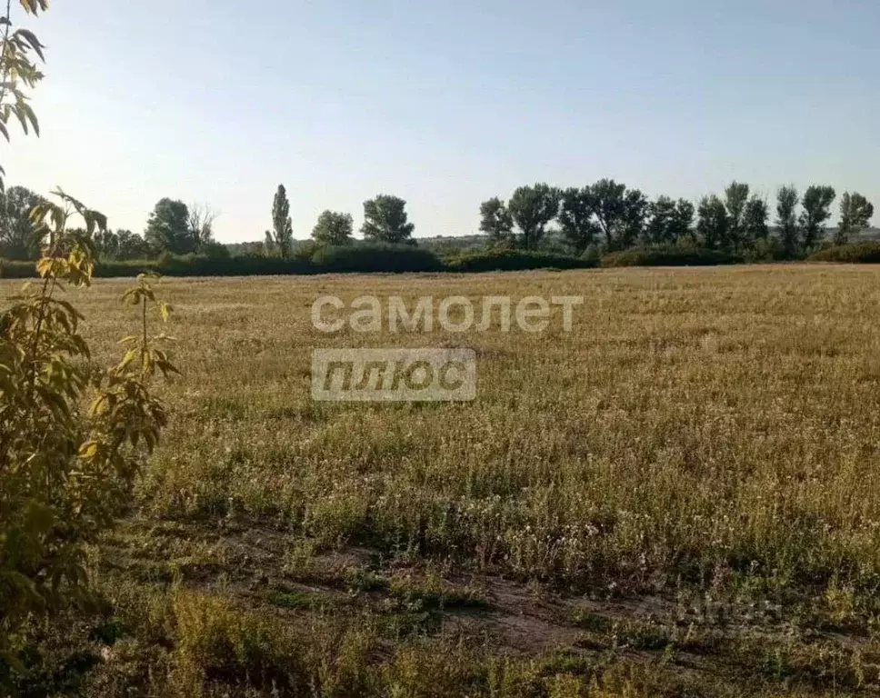 Участок в Ростовская область, Неклиновский район, с. Покровское пер. ... - Фото 2