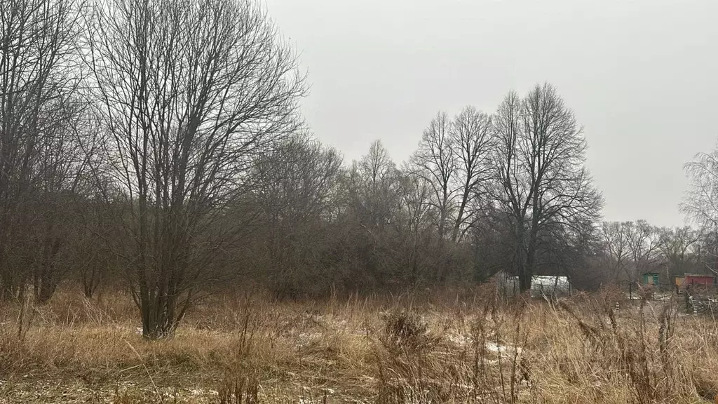 Участок в Московская область, Ступино городской округ, д. Дворяниново  ... - Фото 0