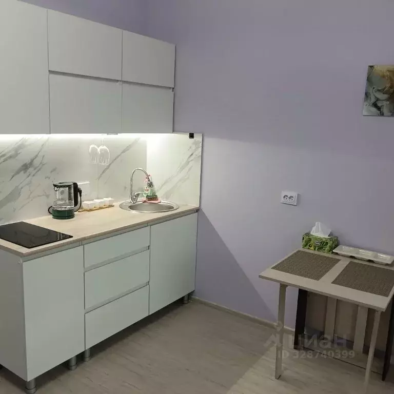 Студия Санкт-Петербург пос. Шушары, просп. Старорусский, 5к1 (21.0 м) - Фото 1