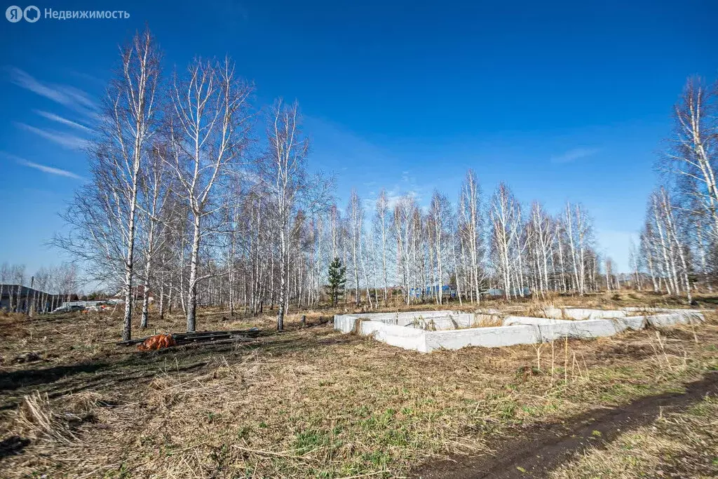 Участок в Искитимский район, село Морозово (16.93 м) - Фото 0