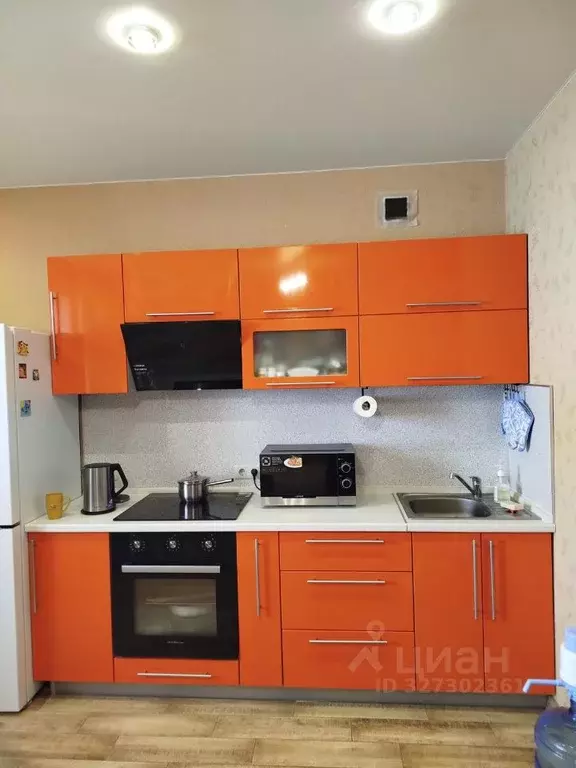 Студия Новосибирская область, Новосибирский район, Каменский ... - Фото 1