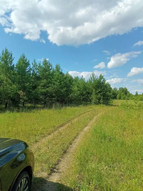 Участок в Нижегородская область, Бор  (19.0 сот.) - Фото 1