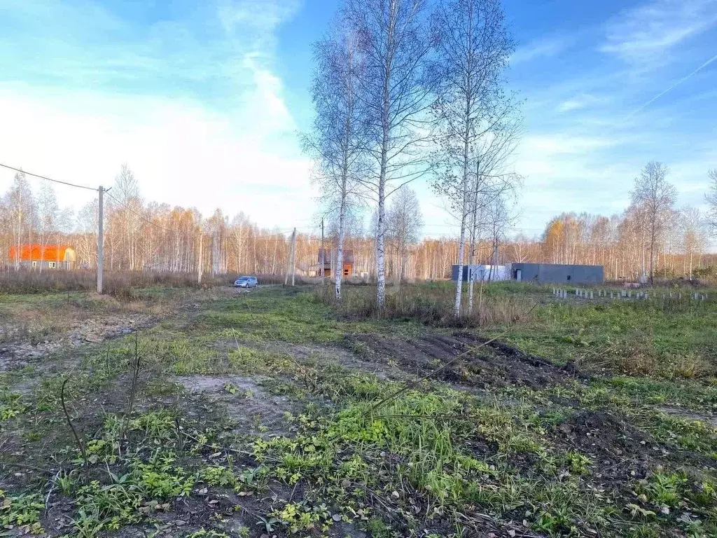 Участок в Новосибирская область, Новосибирский район, Станционный ... - Фото 0