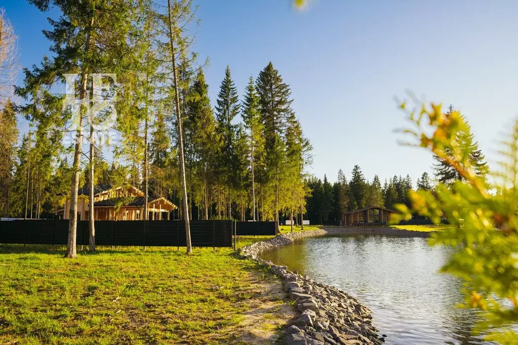 Участок в Московская область, Клин городской округ, Ели Эстейт ... - Фото 2