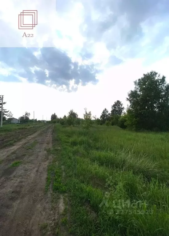 Участок в Алтайский край, Барнаул городской округ, пос. Бельмесево ул. ... - Фото 2