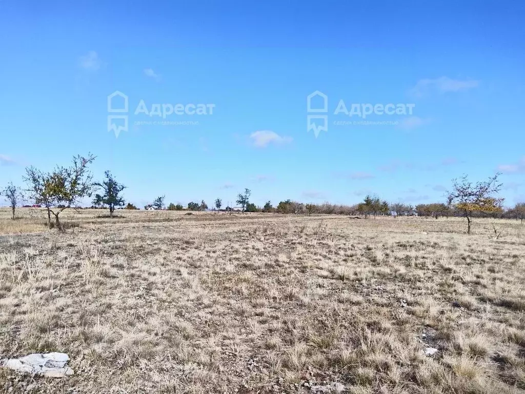 Участок в Волгоградская область, Городищенский район, Царицынское ... - Фото 2