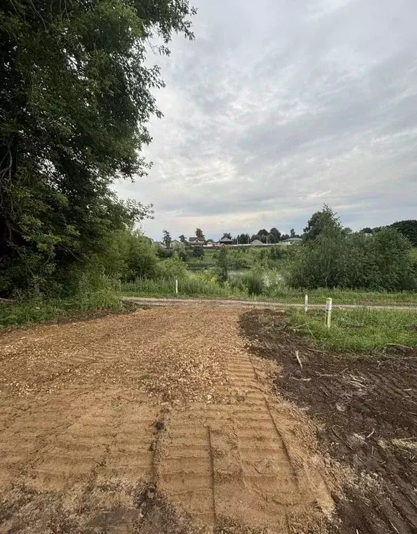 Участок в Московская область, Кашира городской округ, д. Андреевское ... - Фото 2