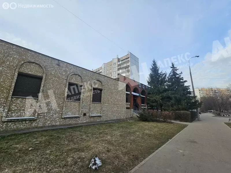 Офис (170 м) - Фото 2