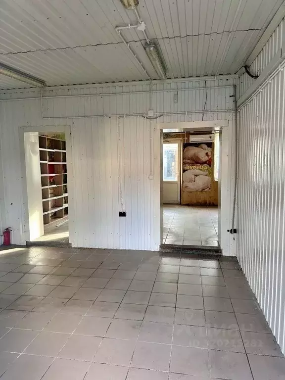 Торговая площадь в Калининградская область, Светлый ул. Лизы Чайкиной ... - Фото 1