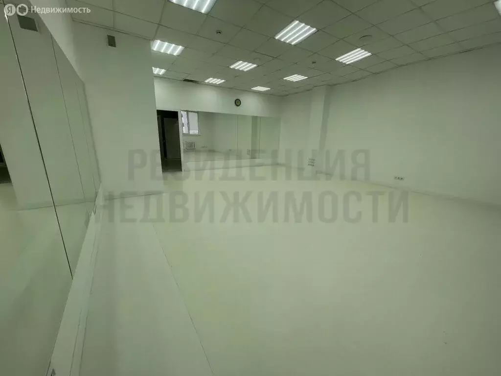 Офис (81.5 м) - Фото 1