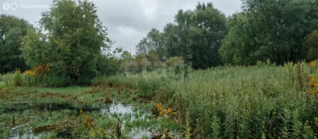 Участок в Калининград, СТ Дружба-Девау, Фруктовый переулок (5 м) - Фото 1