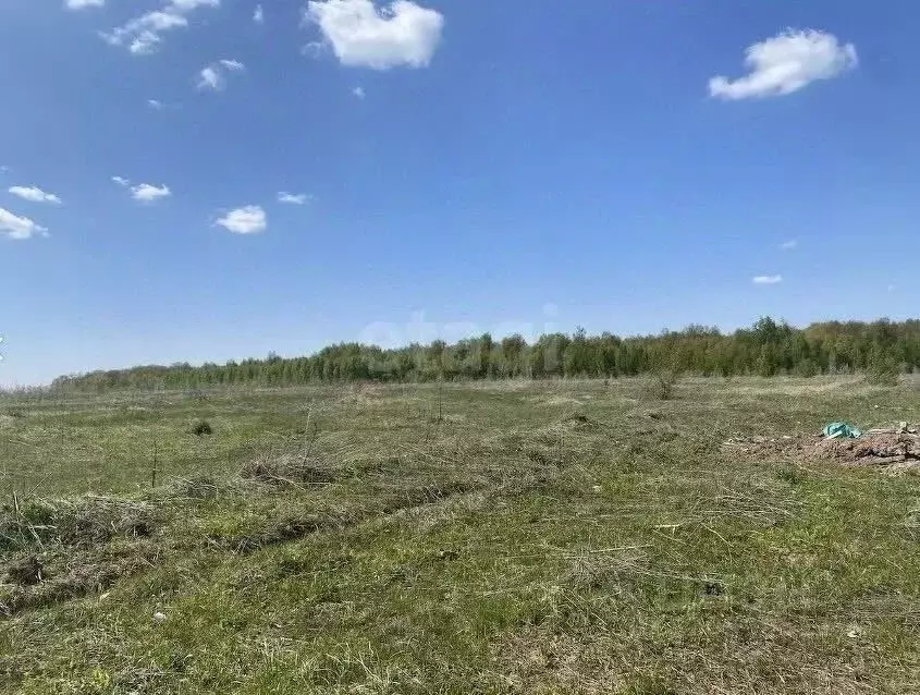 Участок в Татарстан, с. Верхний Услон ул. Лучистая, 4 (10.0 сот.) - Фото 1