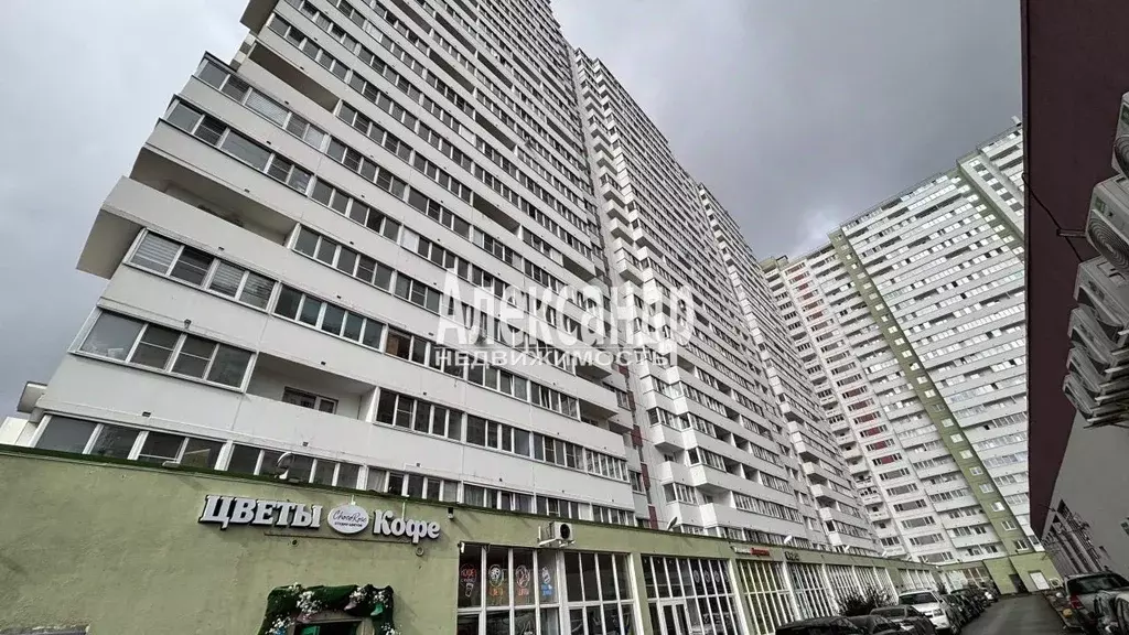 Студия Санкт-Петербург пос. Шушары, ул. Валдайская, 6к2 (28.0 м) - Фото 1