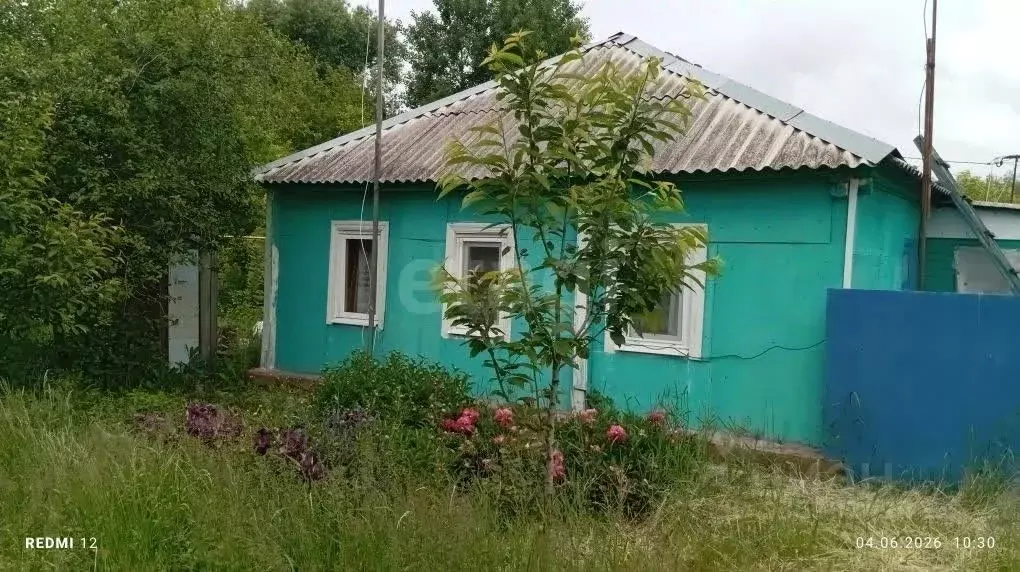 Дом в Белгородская область, Губкинский городской округ, с. Истобное  ... - Фото 1