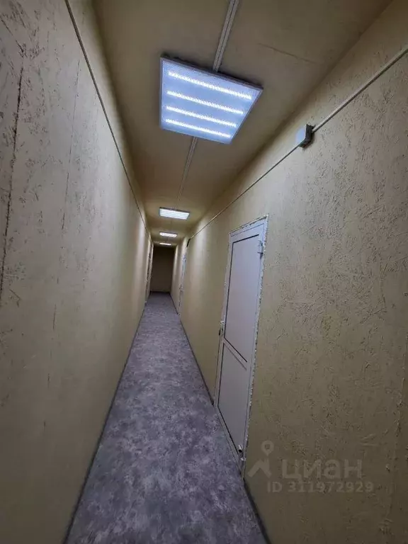 Офис в Алтайский край, Барнаул городской округ, пос. Центральный ул. ... - Фото 2