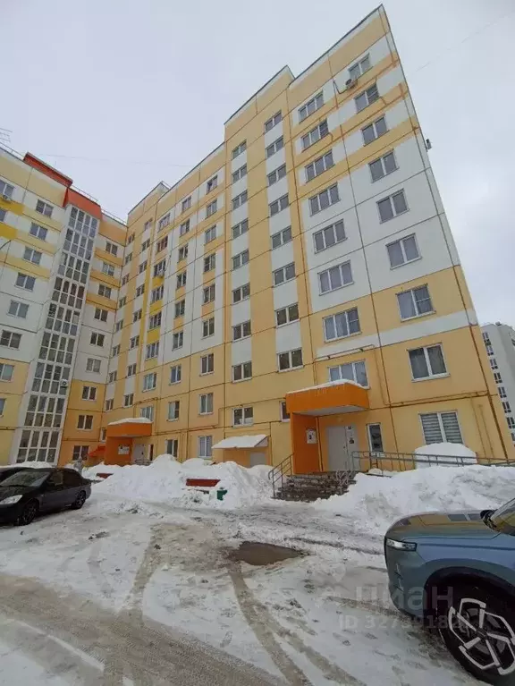 Студия Мордовия, Саранск ул. Косарева, 113 (24.0 м) - Фото 2