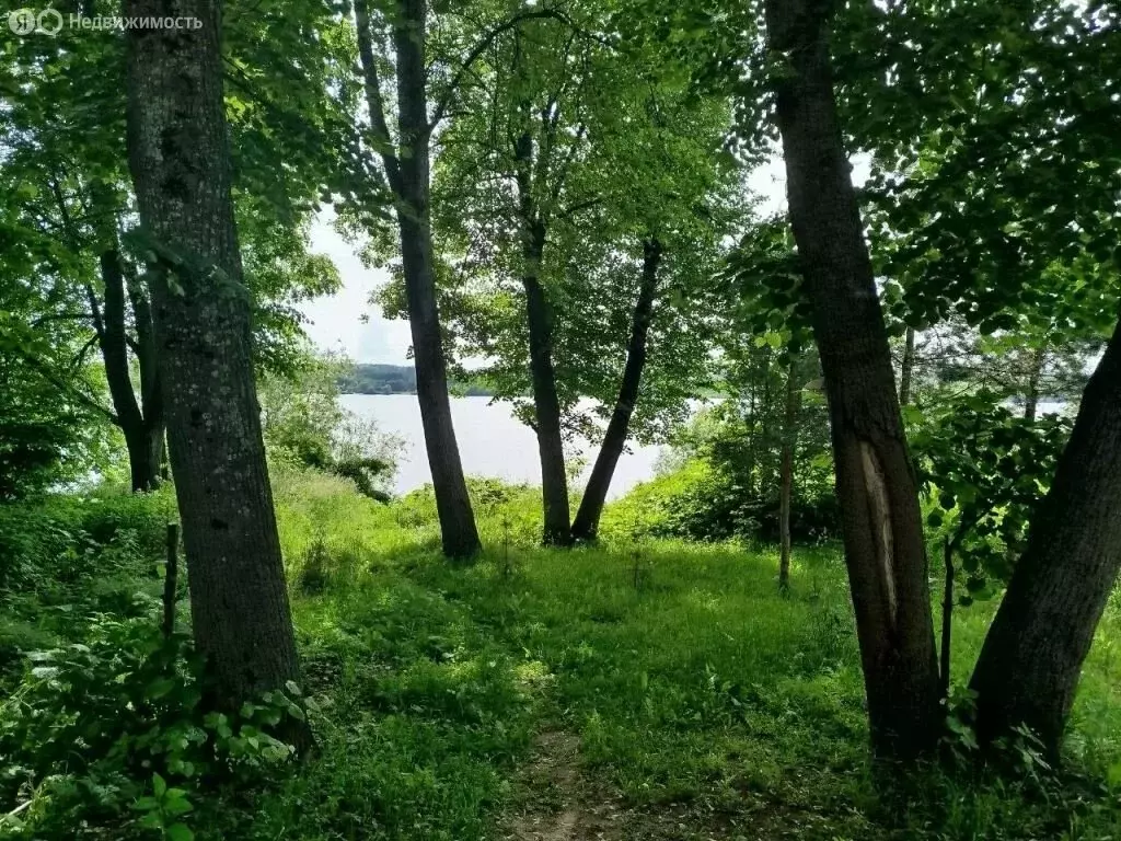 Участок в Кострома, улица Нариманова (7 м) - Фото 0
