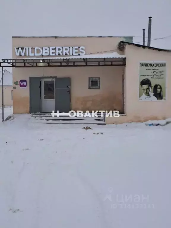 Помещение свободного назначения в Саратовская область, Татищево рп, ... - Фото 0